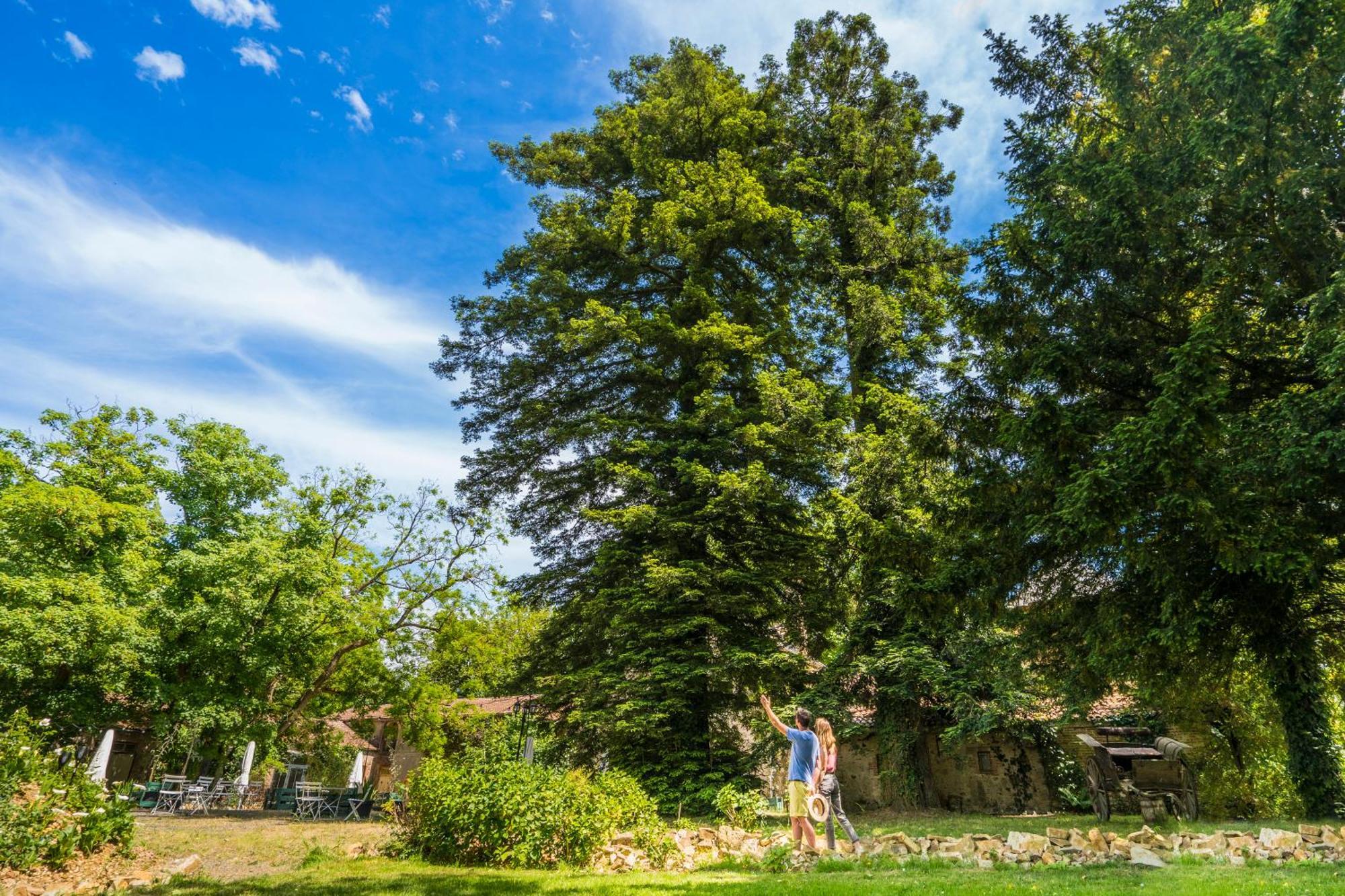 Chateau De La Tourlandry Chemille-en-Anjou Kültér fotó